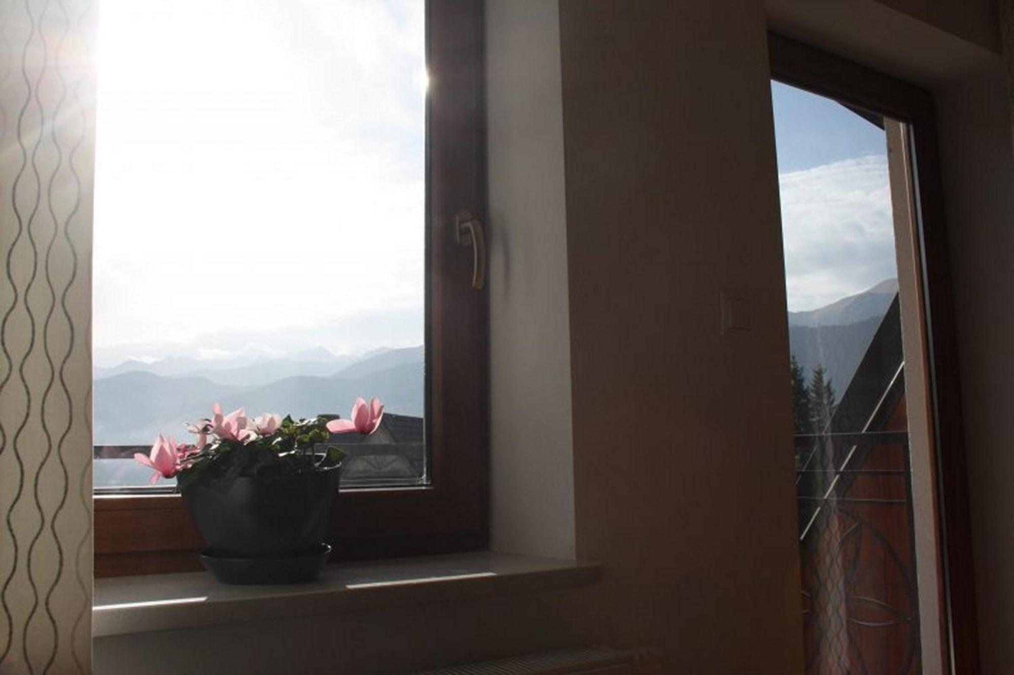 Krokusowa Polana Kościelisko Exteriér fotografie
